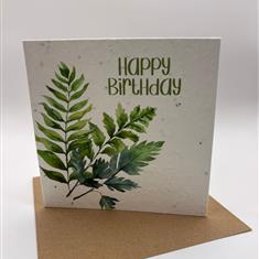 Green Fern Greetings Card
