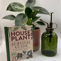Green house plant gift set